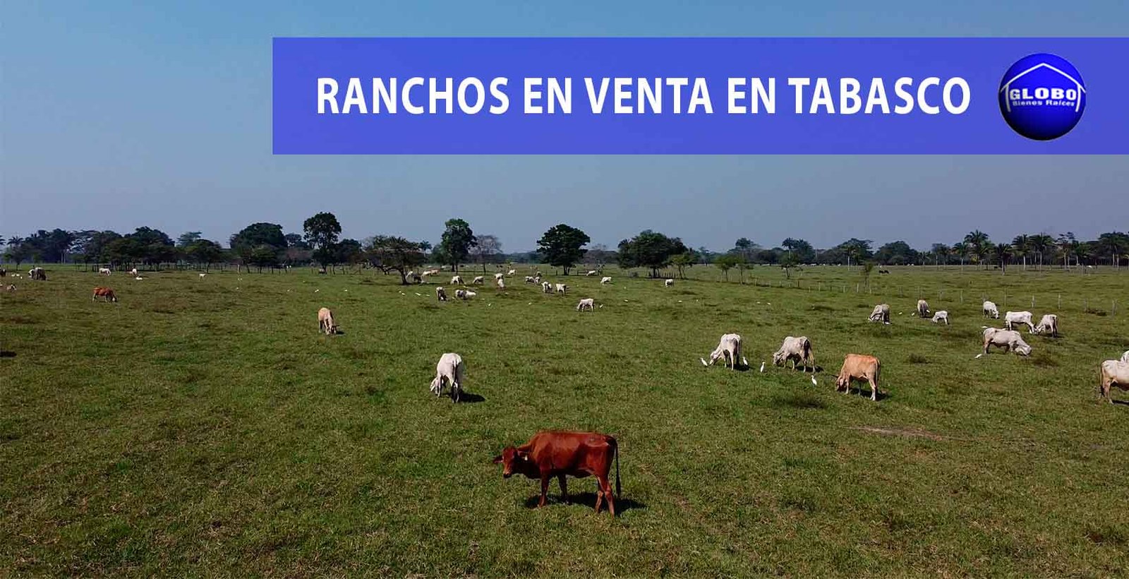 Ranchos En Venta Cerca De Mi